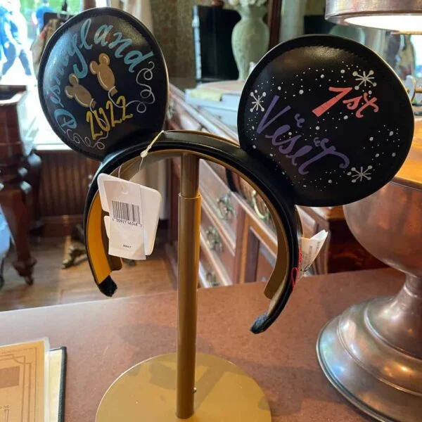 Disney Budget, Disney trip