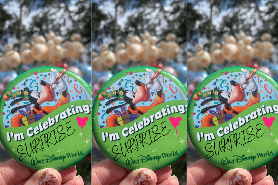 Disney Trip Surprise