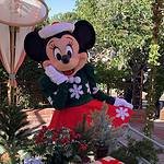 Magic Kingdom