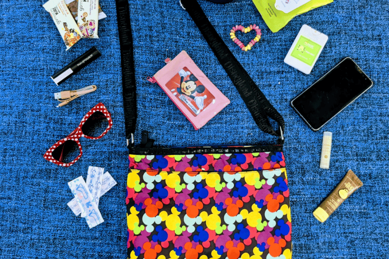 Complete Guide: Family Packing List for Disney World - Pixie Packing ...
