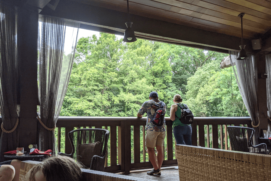 Best Disney World Bars
