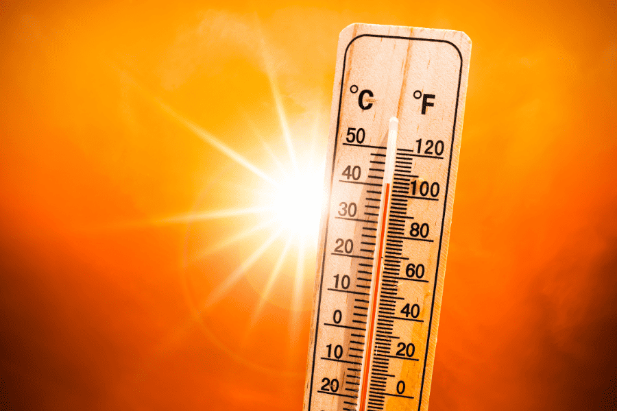 How to Beat the Heat at Disney World