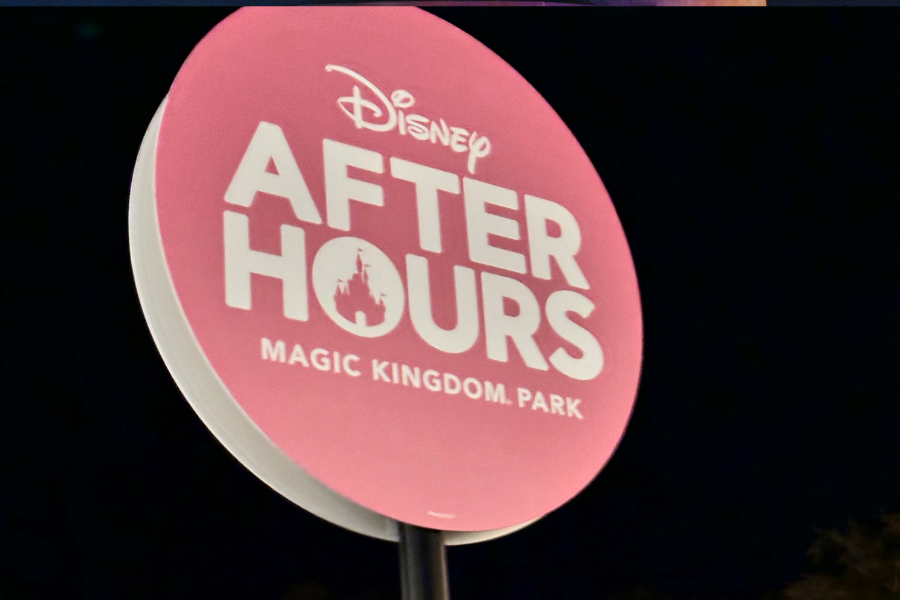 Disney Parks