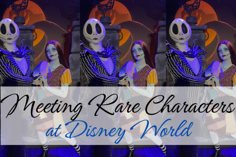 9 Ways to Meet Rare Characters at Disney World in