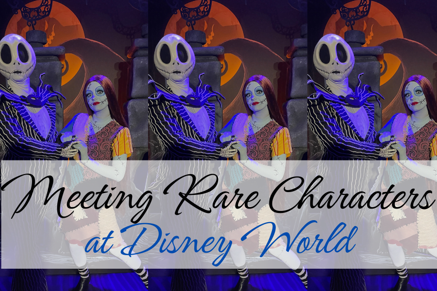 jack skellington and sally
