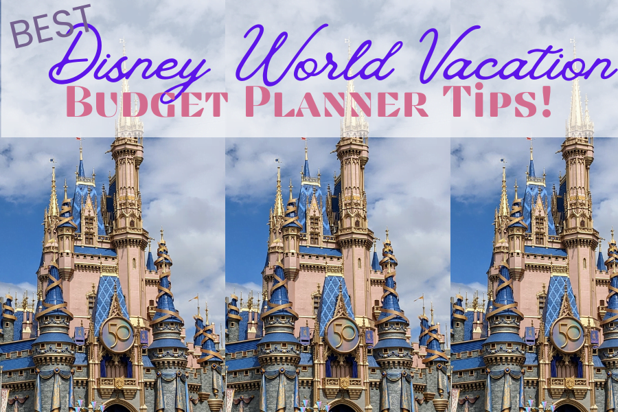 Disney World Vacation Cinderella Castle