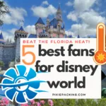 5 best fans for Disney World guide