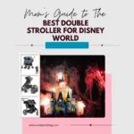 Mom's Guide to the Best Double Stroller for Disney World
