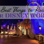 13 best things to pack for Disney World Cinderella Castle