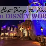 13 best things to pack for Disney World Cinderella Castle