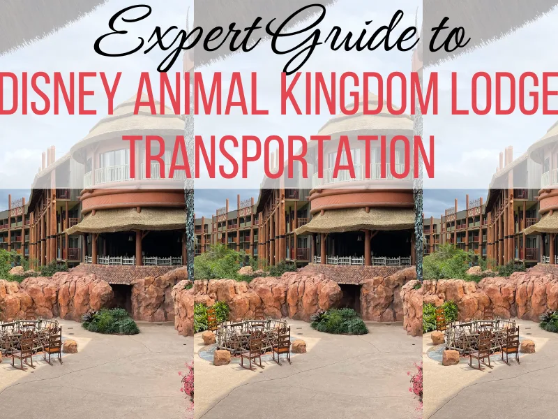 Expert Guide to Disney Animal Kingdom Lodge Transportation