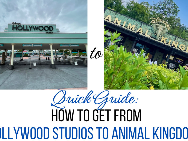 Hollywood studios to animal kingdom entrance quick guide